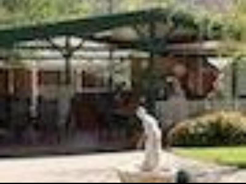 The Birch House - Silver Birches Accommodation Bright Exteriör bild